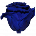 Simple Blue